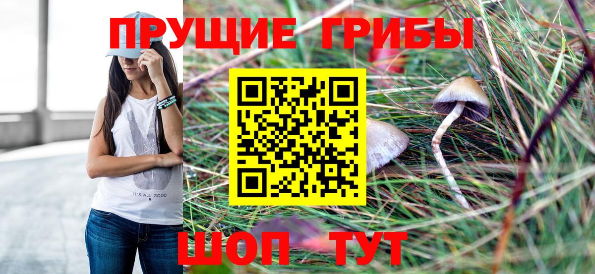цена наркотик  Галлюциногенные грибы MAGIC MUSHROOMS  Вход с VPN  Когалым  Галлюциногенные грибы Psilocybe 