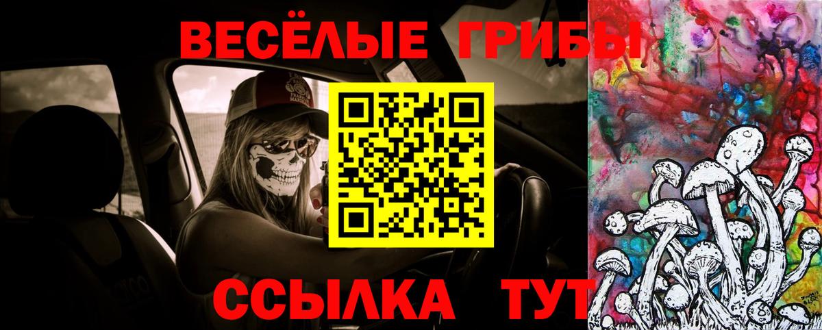 Галлюциногенные грибы прущие грибы Когалым